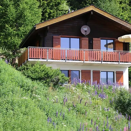 Brunnquell Appartement-fewo- Dusche Oder Bad- Wc 4 1-2 Zimmerwohnung- 6-betten By Interhome Bettmeralp